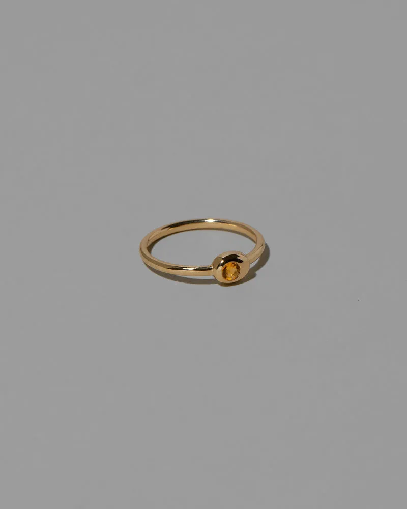 Birthstone Level Ring
