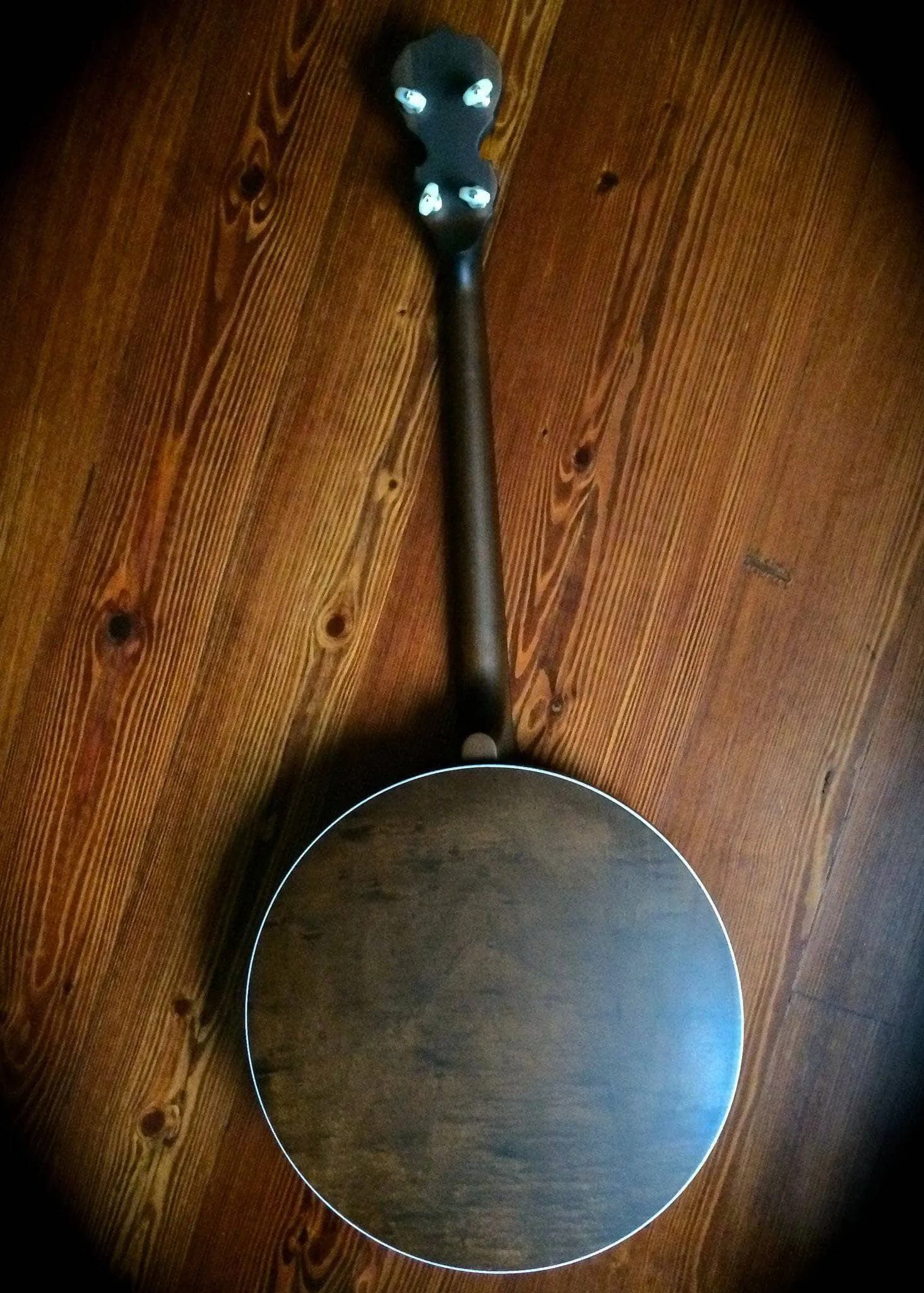 Deering Sierra Maple 19-Fret Tenor Banjo with Tubaphone Tone Ring