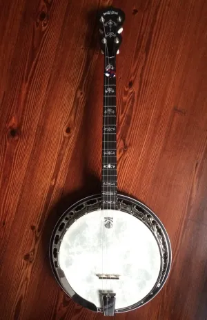Deering Sierra Maple 19-Fret Tenor Banjo with Tubaphone Tone Ring