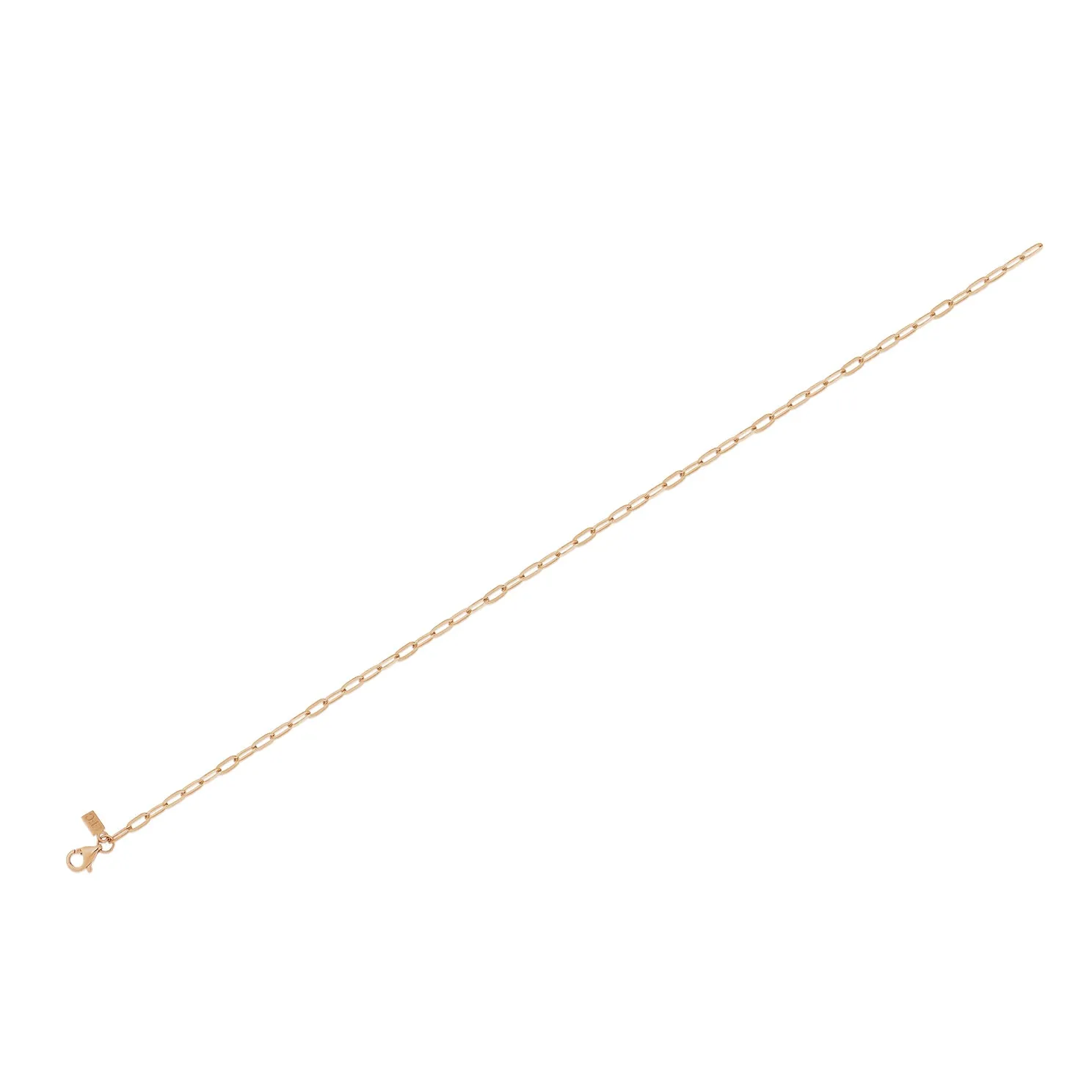 Mini Link Anklet