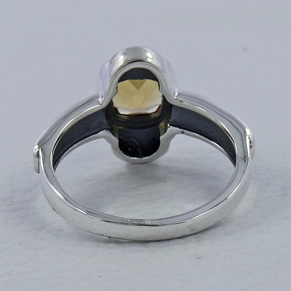 Natural Garnet Birthstone Silver Ring