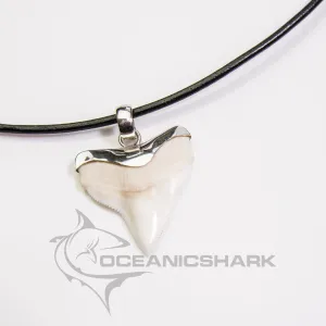 SALE  Large Bull Shark Tooth Pendant s15