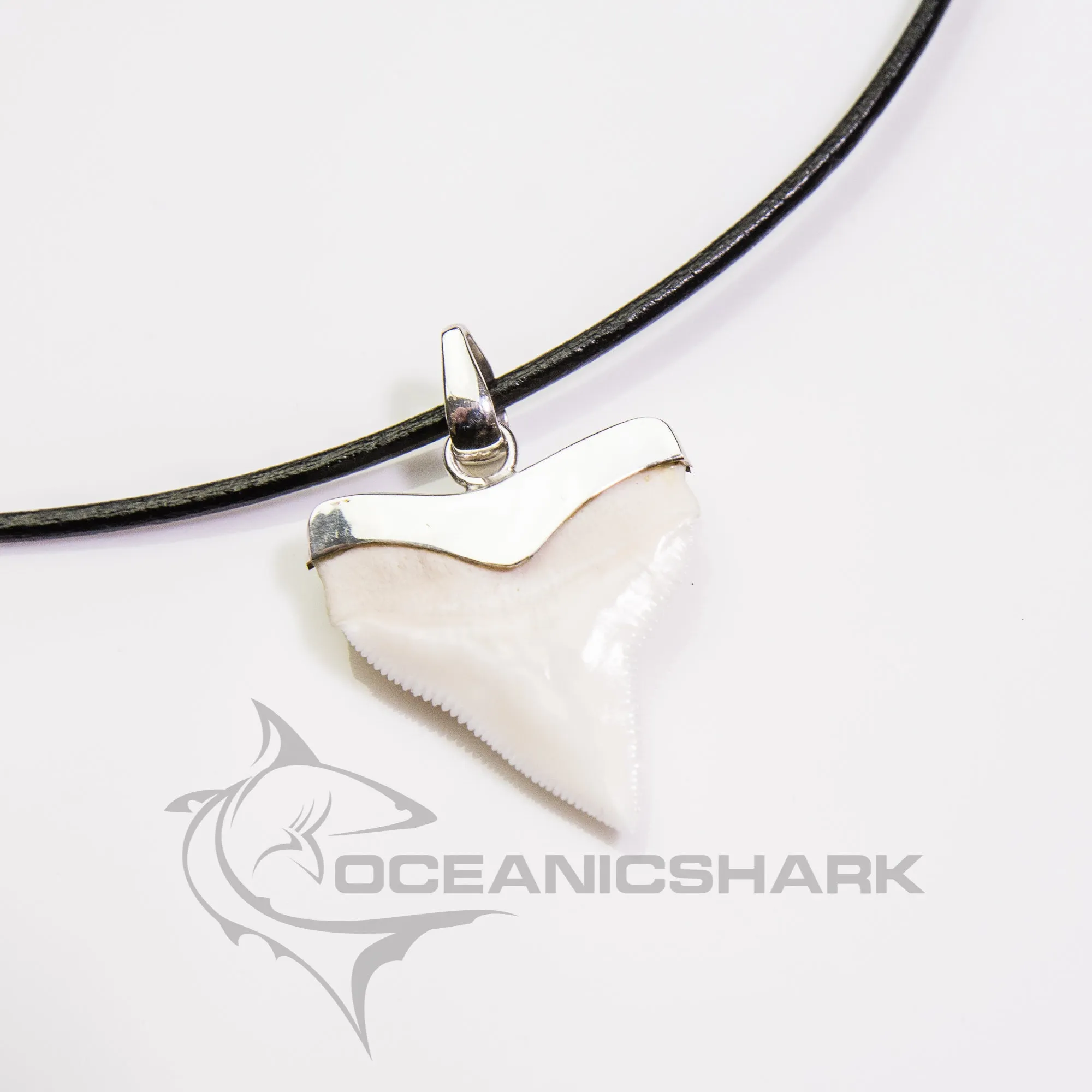 SALE  Large Bull Shark Tooth Pendant s15