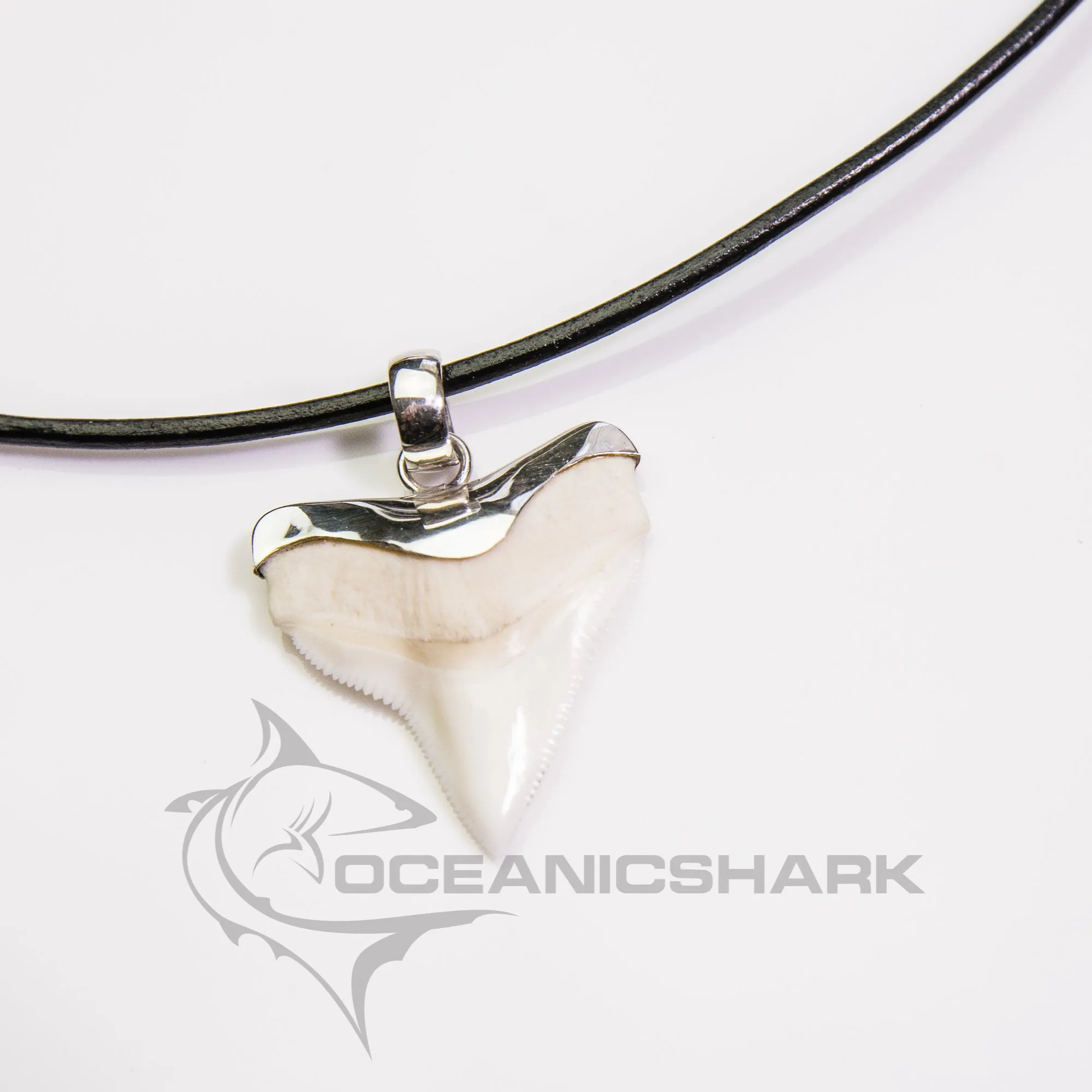 SALE  Large Bull Shark Tooth Pendant s15