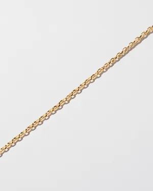 Short Loop Chain Bracelet