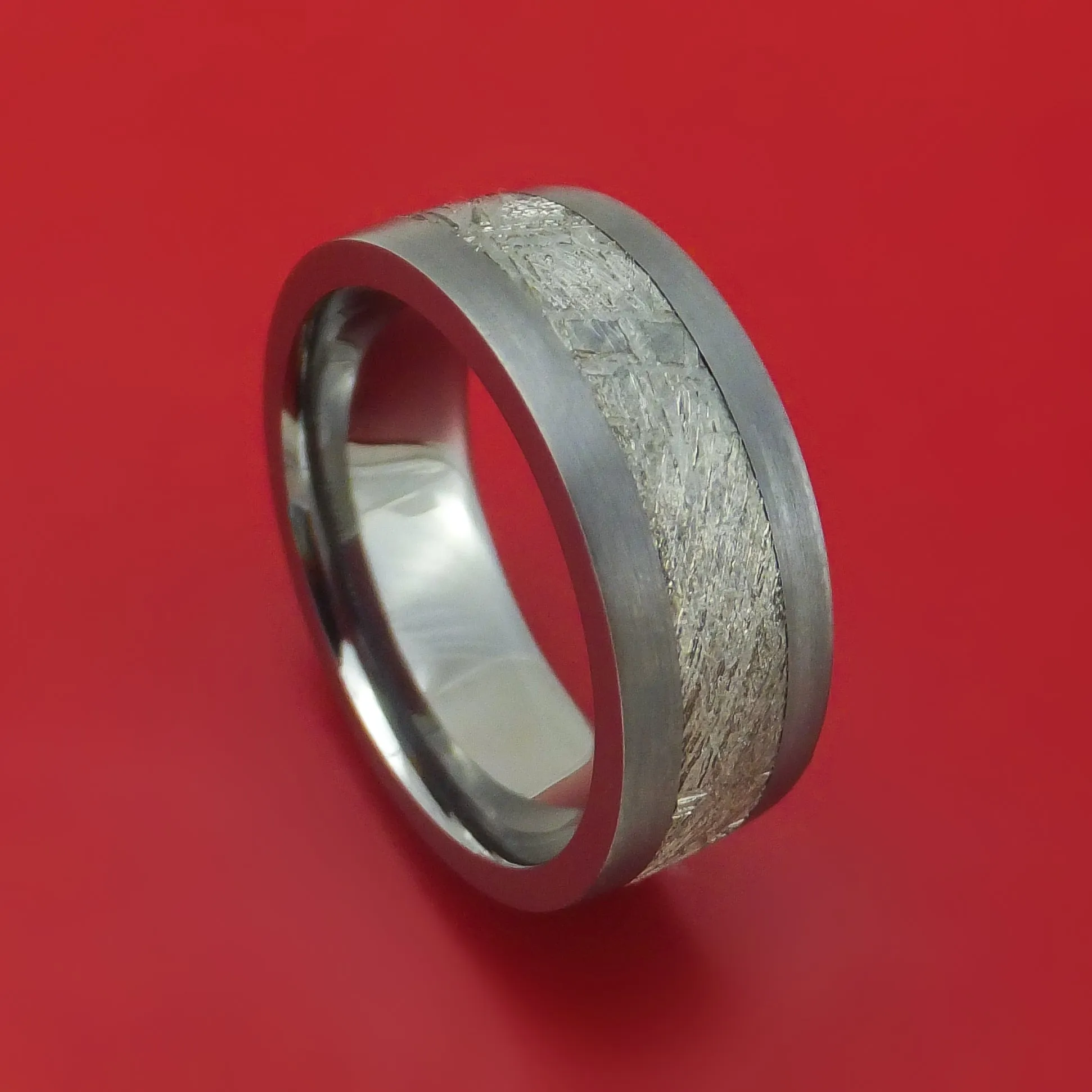 Tantalum and Meteorite Custom Made Ring