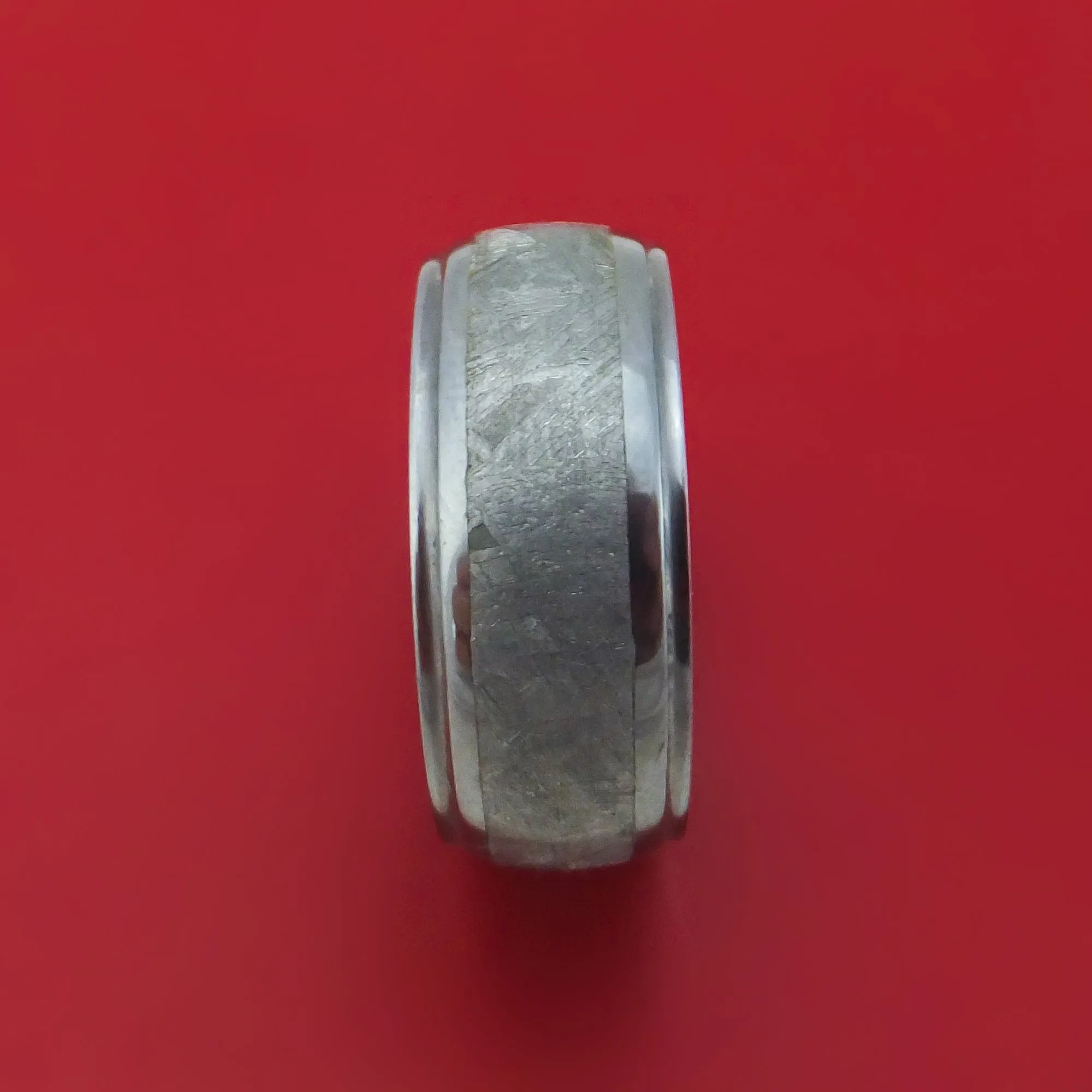 Tantalum and Meteorite Custom Made Ring