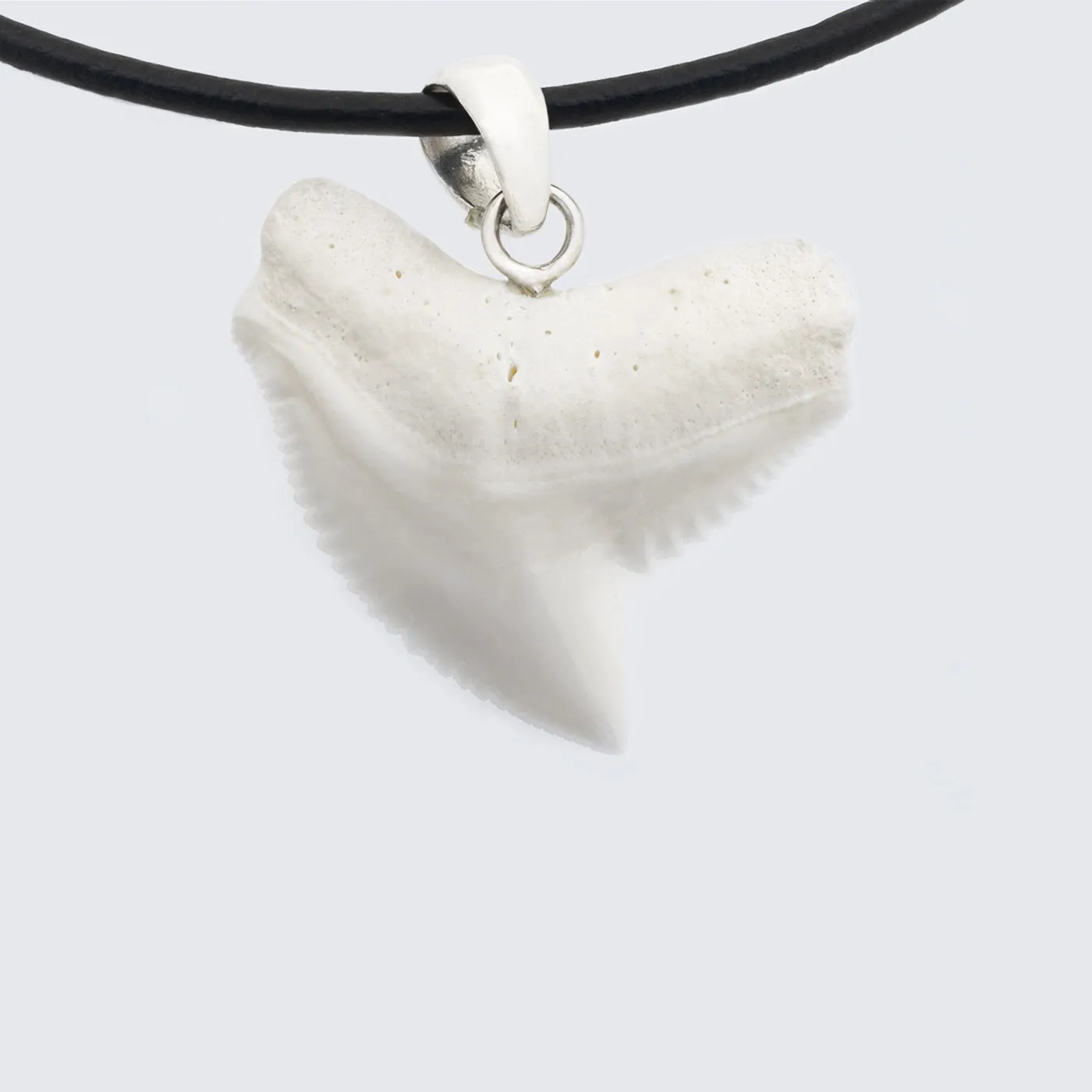 Tiger Shark Tooth Pendant Silver s42