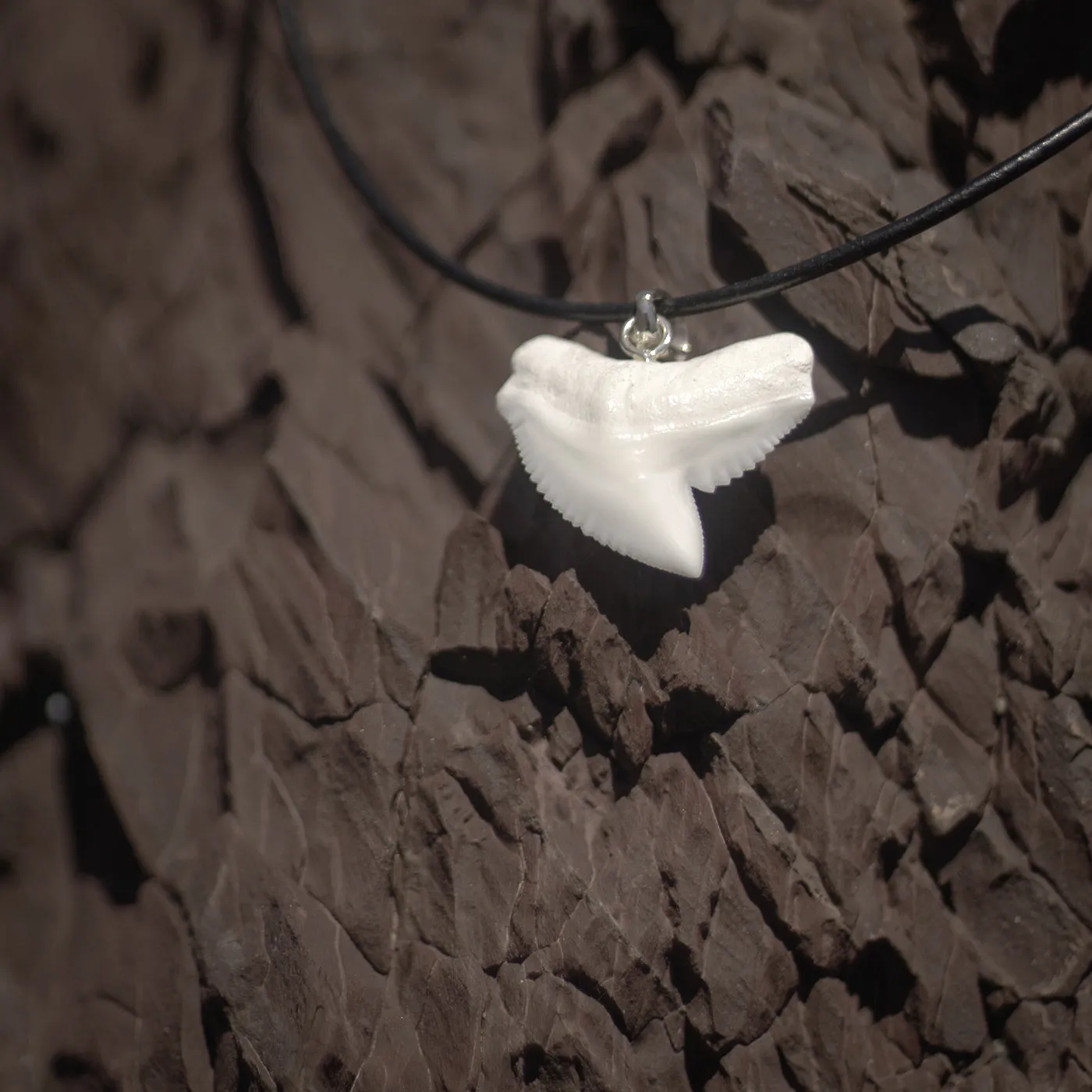 Tiger Shark Tooth Pendant Silver s42