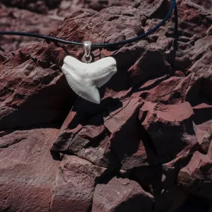 Tiger Shark Tooth Pendant Silver s42