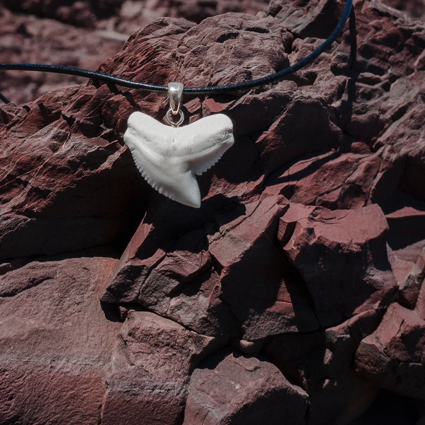 Tiger Shark Tooth Pendant Silver s42