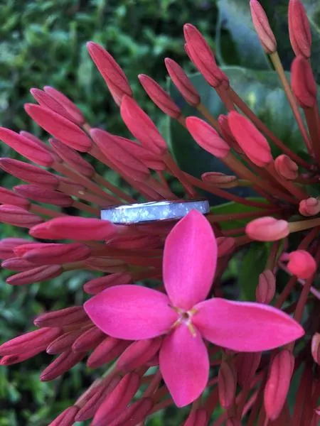 White Pearl Hawaii Titanium Ring