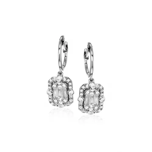 Zeghani Earrings Ze585