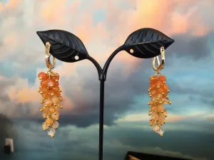 Zhanna Jewelry, Carnelian Cluster Earrings
